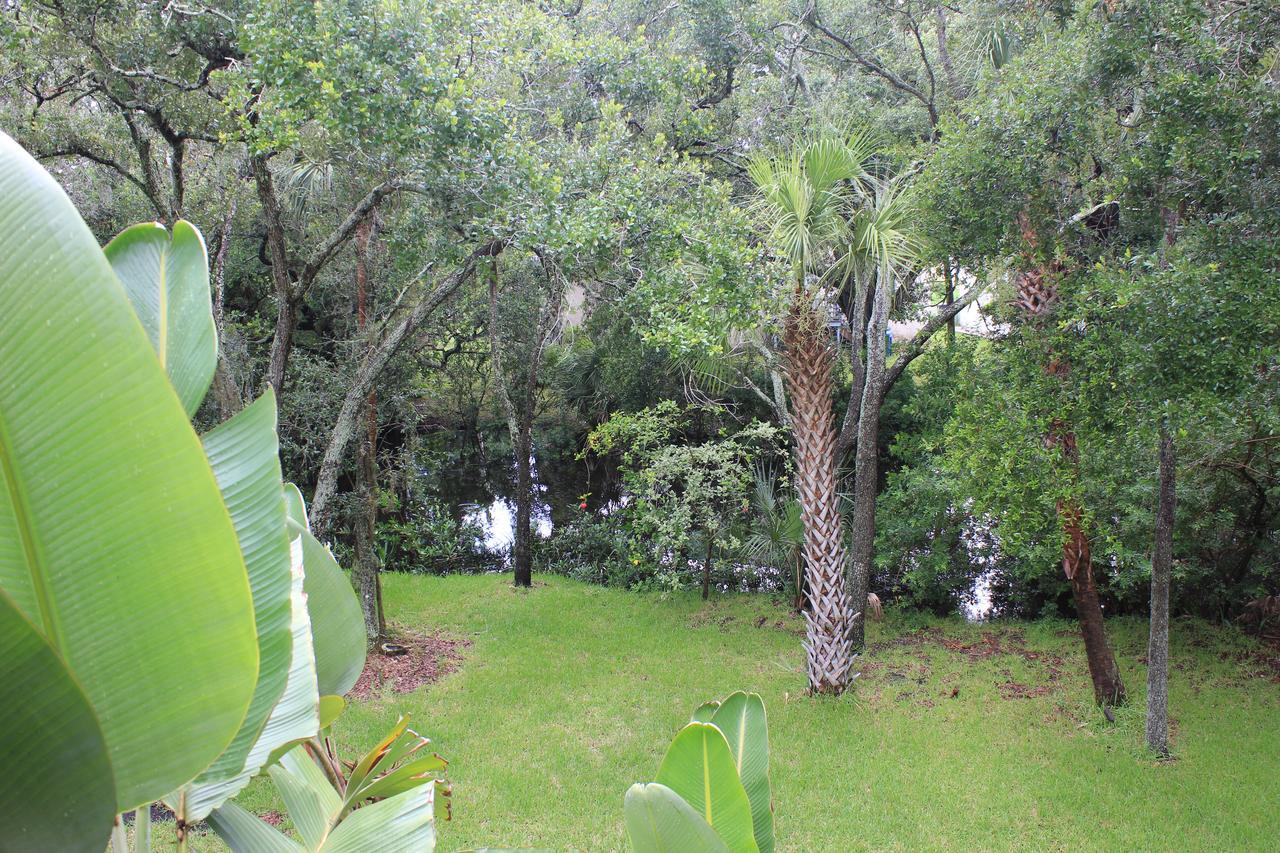 Villa Treehouse Tampa Esterno foto