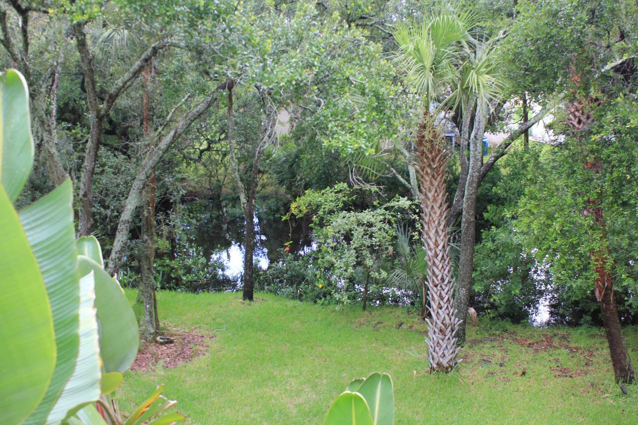 Villa Treehouse Tampa Esterno foto