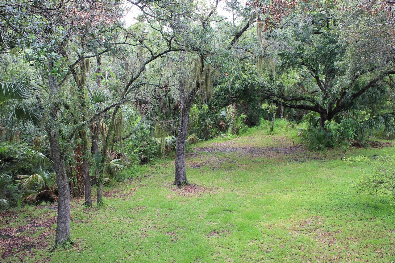 Villa Treehouse Tampa Esterno foto